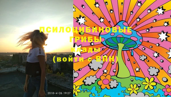 PSILOCYBIN Алзамай
