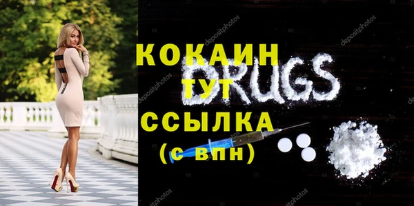 ПСИЛОЦИБИНОВЫЕ ГРИБЫ Абаза