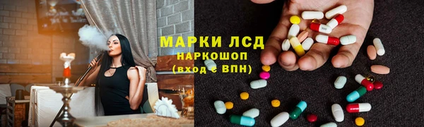 PSILOCYBIN Алзамай