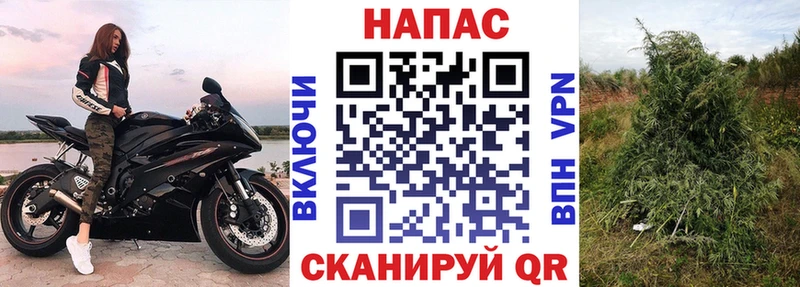 Конопля марихуана Новочеркасск